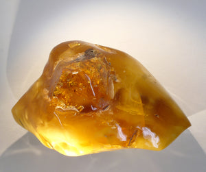 Amber - Organic Healing Stone 